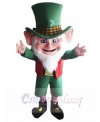 Leprechaun mascot costume