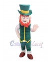 Elfe Boy mascot costume