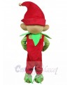 Elf mascot costume