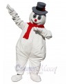 Snowman mascot costume