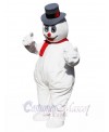 Snowman mascot costume