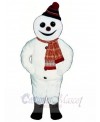 Snowman mascot costume