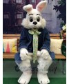 Wendell Rabbit mascot costume