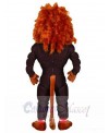 Lion mascot costume