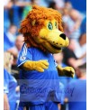 Lion mascot costume