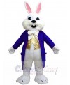 Easter Bunny mascot costume