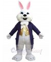 Easter Bunny mascot costume