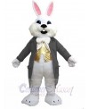 Easter Bunny mascot costume
