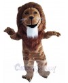 Lion mascot costume