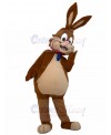 Rabbit mascot costume
