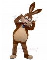 Rabbit mascot costume