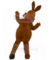 Rabbit mascot costume