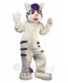 cat mascot costume