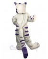 cat mascot costume