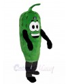 Pickle mascot costume