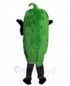 Pickle mascot costume