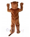 Otter mascot costume