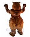 bear mascot costume