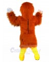 Eagle mascot costume