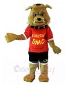 dog mascot costume