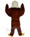 Eagle mascot costume