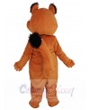 Squirrel mascot costume