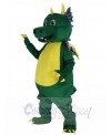 Dragon mascot costume