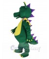 Dragon mascot costume