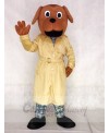 McGruff the Crime Dog Mascot Costumes Animal