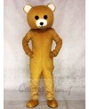 Brown Teddy Bear Mascot Costumes Animal