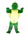 Green Dinosaur Magic Dragon Mascot Costumes Animal