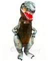 Real Tyrannosaurus T-REX Dinosaur Inflatable Halloween Christmas Costumes for Adults