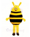 Yellow and Black Bee Mascot Costumes Insect