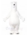 White Polar Bear Mascot Costumes Animal