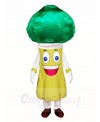 Broccoli Mascot Costumes Vegetables