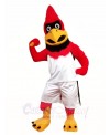 Cardinal Red Bird Mascot Costumes Animal