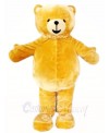 Brown Teddy Bear Mascot Costumes Animal 