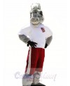 Sport School Horse Mascot Costumes Animal