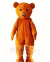 Brown Teddy Bear Mascot Costumes Animal