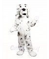 Dalmatian Dog Mascot Costumes Animal 