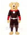 A Retriever Dog Super Hero Mascot Costumes Animal