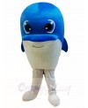 Dolphin Mascot Costumes Ocean 