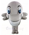 Grey Dolphin Mascot Costumes Ocean 
