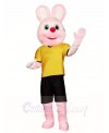 Pink Rabbit Mascot Costumes Easter Bunny Animal