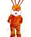 Brown Easter Bunny Rabbit Mascot Costumes Animal 