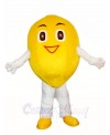 Smiling Lemon Mascot Costumes Fruit