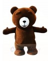 Brown Teddy Bear Mascot Costumes Animal 