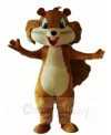 Brown Squirrel Mascot Costumes Animal 