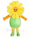 Sunflower Mascot Costumes Plant