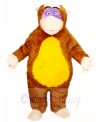 Monkey King Mascot Costumes Animal 